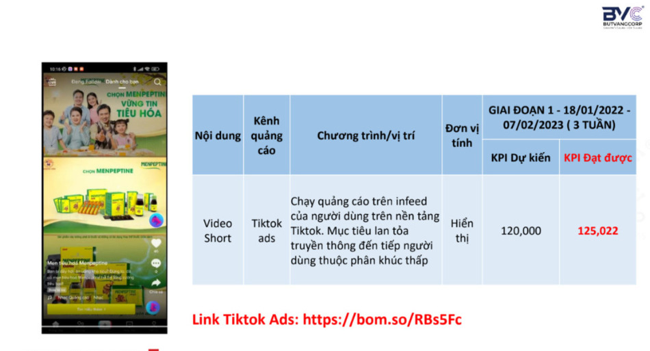 Report on the results of TikTok advertising campaign – BVAD Agency