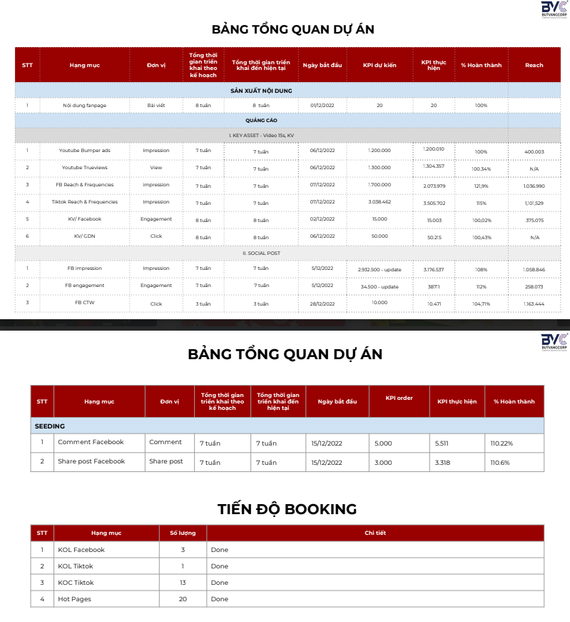 Project Overview Table – BVAD Agency
