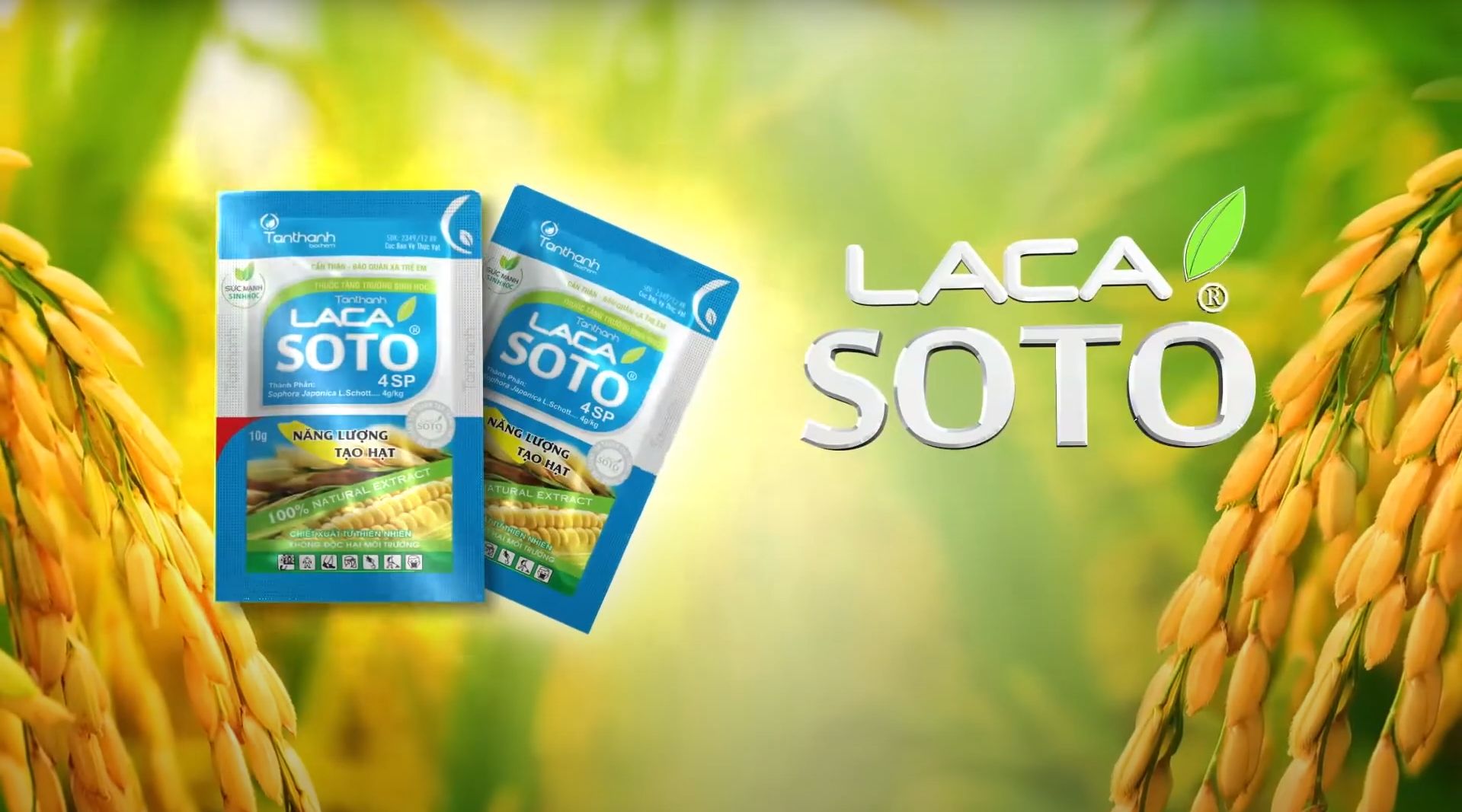 lacasoto